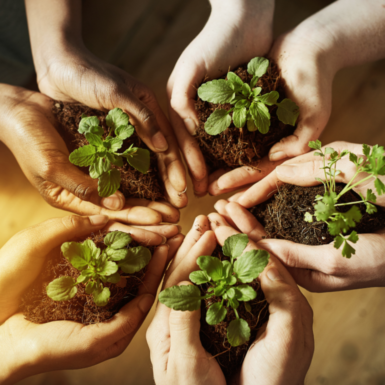 Environment Protection Program Environment Protection | Thiru Arumugam.